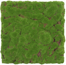 Jangal Modular Wall mospanel 52 x 52 cm - Forrest Green